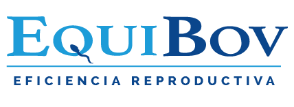 EquiBov